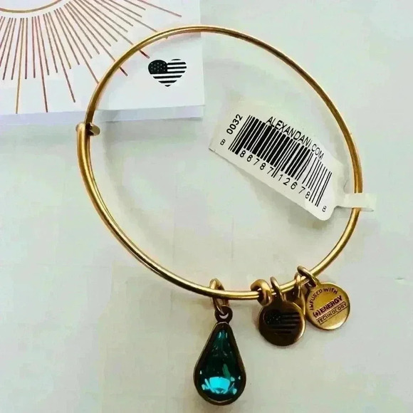 NWT! Alex and Ani December Drop Charm Bangle - Picture 2 of 5